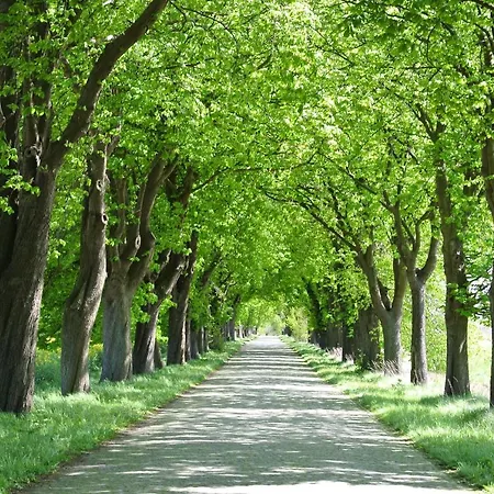 Museumshof Apartmán