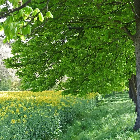 Museumshof Apartmán Puddemin