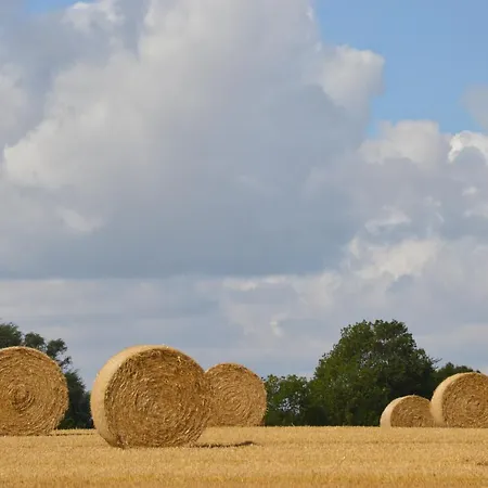 Museumshof Apartmán Puddemin